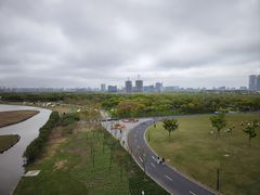 -春花秋色城市公园