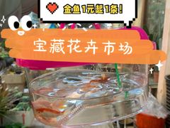 -双季花艺园艺市场(浦东店)
