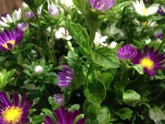 iphone_upload_pic-春暖花开(西溪店)