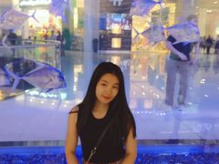 -迪拜水族馆及水下动物园