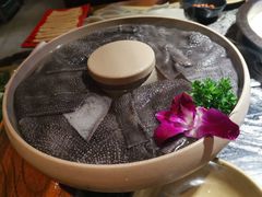 -渝味晓宇火锅(合川路店)