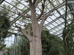 -南通洲际绿博园