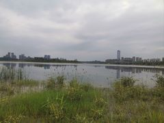 -星巴克(成都科学城店)