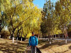 -永定河休闲森林公园