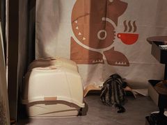 -咖法森林·咖啡  酒吧(天河店)