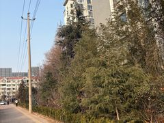 -安南越南餐厅(青岛万象城店)