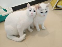 -烟火鱼乡(金鹰店)