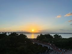 -宝安西湾红树林湿地公园