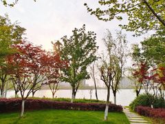 -天鹅湖体育公园