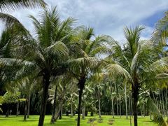 -中国科学院西双版纳热带植物园