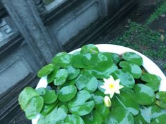 -桃源居(蠡园店)