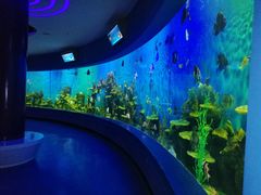 -石林冰雪海洋世界