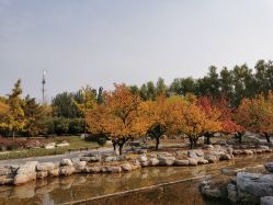 -大望京儿童游乐场