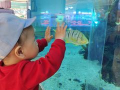 -鸿通城购物中心