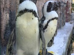 -新疆天山野生动物园