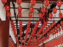 -三水森林公园