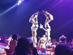 -广州长隆国际大马戏