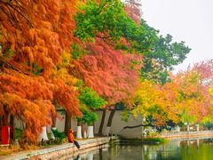 -东湖落雁景区