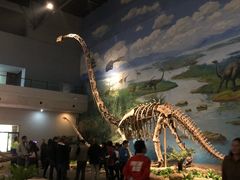 -自贡恐龙博物馆