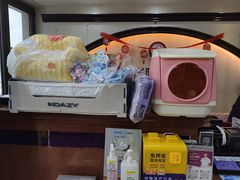 -宠爱国际动物医院·消化内科·心肾内科·ISFM猫友好(望京店)