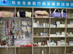-嘉馨宠物医院·CT影像转诊·心脏科·犬猫全科诊疗中心(下沙大学城院区)