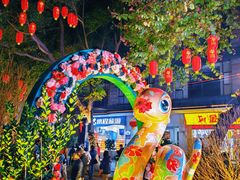 -越秀西湖花市(广州城市广场花卉店)