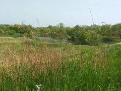 景点-上海长兴岛郊野公园