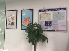 -糕小爱·动物奶油生日蛋糕定制(合肥总店)