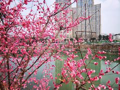 -望江楼公园