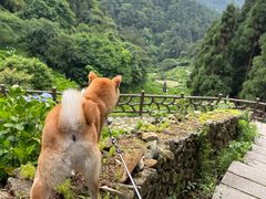 -鼓岭旅游度假区