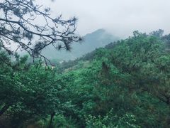 -葛子涧农家宴