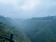 -丹山赤水风景名胜区
