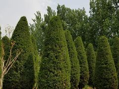 -燕郊植物园