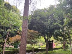 -上海佘山国家森林公园天马山园