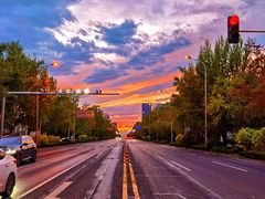 -三里屯东五街银杏大道