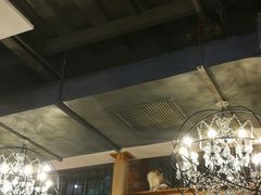 -more than meow吴止猫主题餐厅(承德 中船汇店)