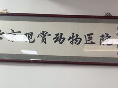 -北京观赏动物医院·24小时大型综合·猫专科·异宠专科