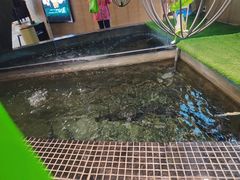 -云海肴云南菜·蒸汽石锅鱼(青岛万象城店)