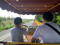 -上海长兴岛郊野公园