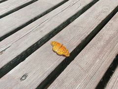-罗田薄刀峰风景区