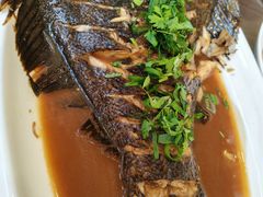 -洁神饭庄·海鲜·青岛菜·30年老字号(五四广场店)