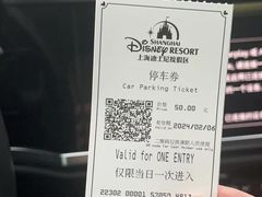 -迪士尼乐园停车场