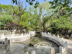 -桃花堤公园