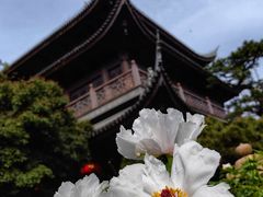 -龙华寺
