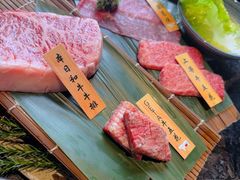 -老乾杯(深圳湾万象城店)