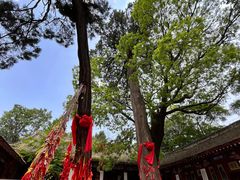 -少华山国家森林公园