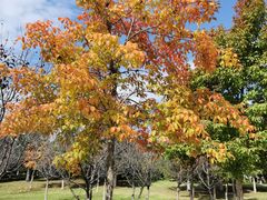 -长春世界雕塑园冰雪艺术天地