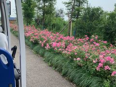 -漩门湾国家湿地公园