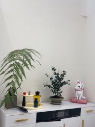 -WENDY·温迪皮肤管理