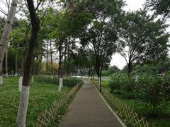 -海珠湖公园